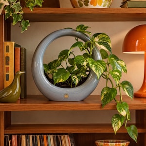 Peut inclure: Un cache-pot circulaire en céramique bleu clair à la finition brillante, contenant une plante pothos retombante aux feuilles en forme de cœur panachées de vert et de blanc. Le pot présente un petit emblème métallique circulaire sur le bord inférieur.