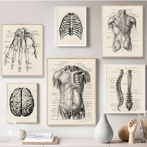 Gothic Anatomy: Vintage Skeleton Wall Art Print - Medical Anatomy Poster for Home Decor, Science Classroom, or Medical Office