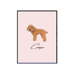 May include: A digital illustration of a brown Cavapoo dog with a pink background. The text "Cavapoo" is written in cursive below the dog.