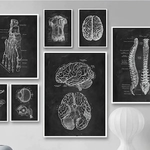 Anatomy Blackboard Canvas Prints Wall Art Medical Poster Prints Human Body Human Anatomy Nordic Prints Home Decor Set of 9