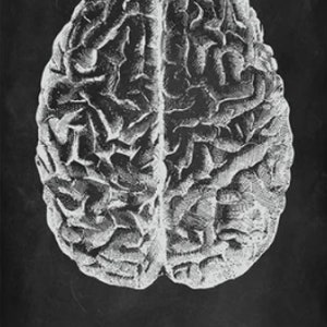 Anatomy Blackboard Canvas Prints Wall Art Medical Poster Prints Human Body Human Anatomy Nordic Prints Home Decor E - Brain