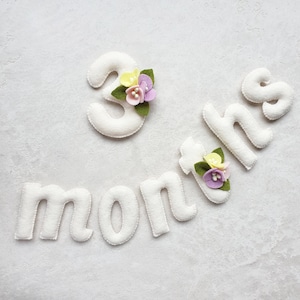 Baby Mädchen Monate Tracker, Filz Meilensteinzahlen, Meilensteinzahlen für Mädchen, Baby Bump Countdown Zahlen, Monatsfoto Requisite