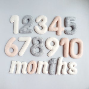 Numeri di pietra miliare del bambino in feltro, Numeri di pancione, Regalo di gravidanza, Regalo per il bagnetto, Numeri del conto alla rovescia, Tracker del mese del bambino, Oggetti di scena fotografici mensili