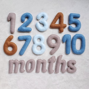 Numeri di pietra miliare del bambino in feltro, Numeri del conto alla rovescia del pancione, Oggetti di scena fotografici mensili, Tracker del mese del bambino