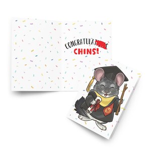 Chinchilla-Abschluss-Karte