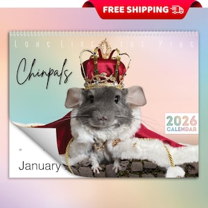 Op de afbeelding: Een kalender voor 2026 met een chinchilla met een kroon en koninklijke kleding. De kalender heeft de tekst "Chinpals" en "Januari" op de voorkant. De woorden "Long Live The King" staan bovenaan.