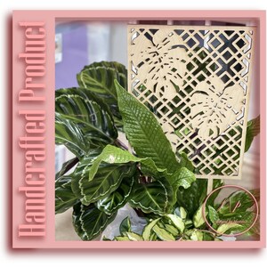 Indoor Plant Trellis