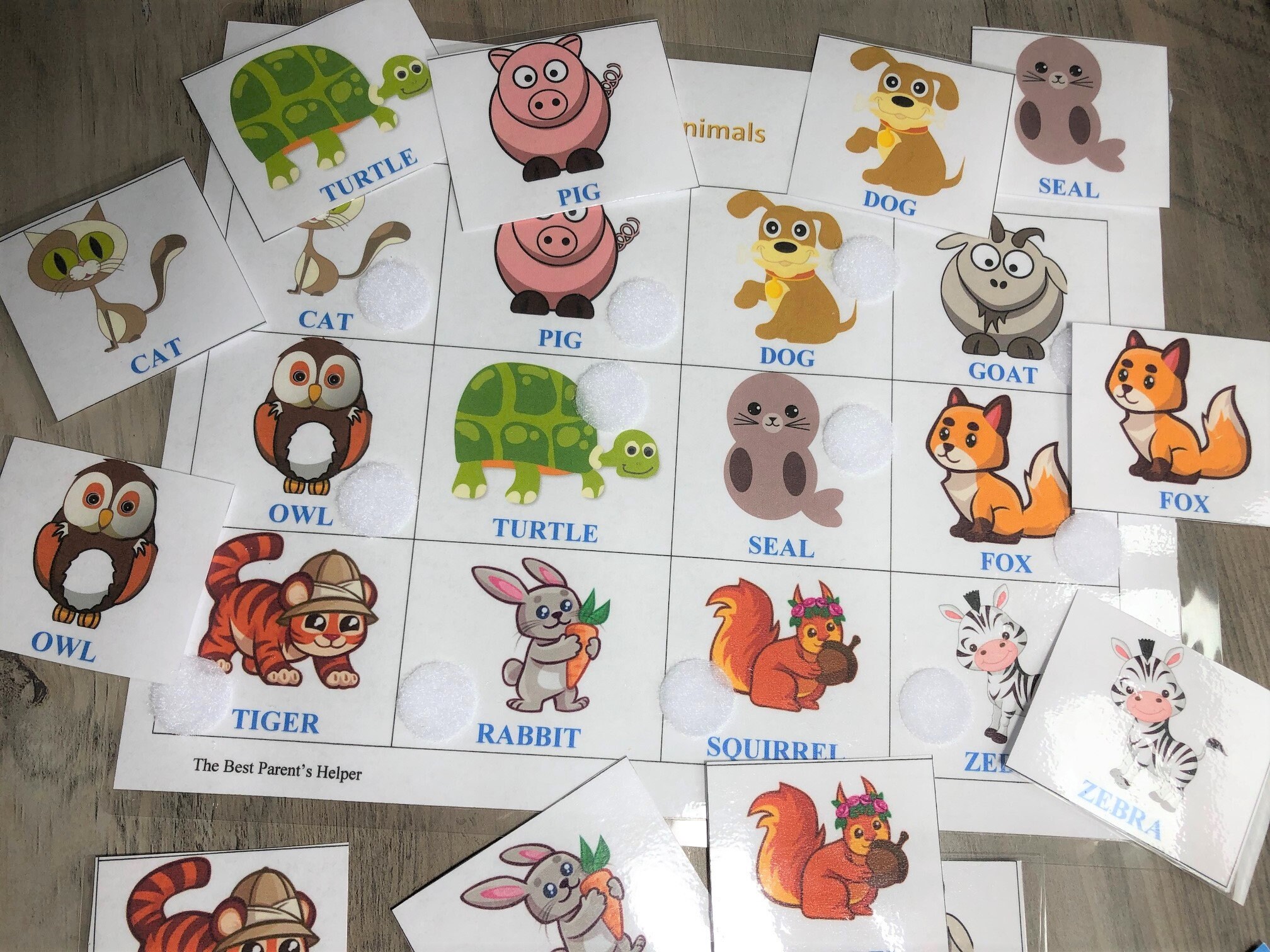 Printable PDF Download Animals Home Education Starting | Etsy