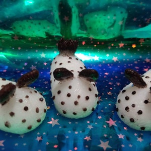 Sea Bunny Nudibranch mochi Squishes *Made To Order*