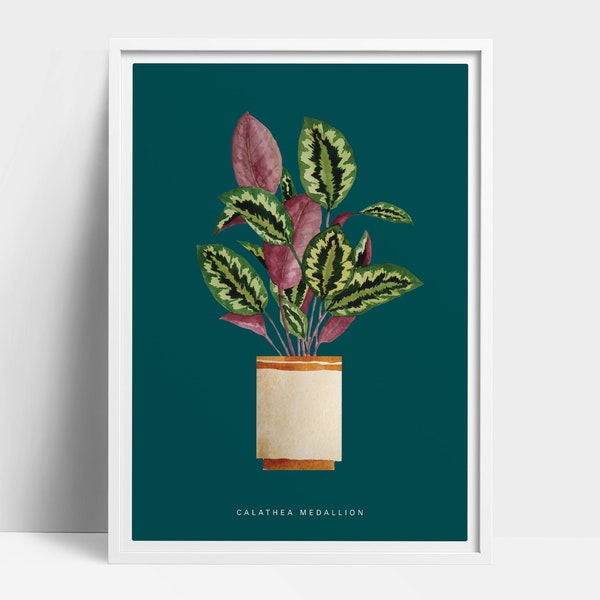 Aquarell Calathea Medaillon Druck, Gebet Pflanzen Illustration, Pflanze Liebhaber Geschenk, botanische Kunst, Haus Pflanze Illustration