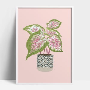 Caladium Print | White Queen Caladium Illustration | Plant Lover Gift | Botanic Art | Potted Plant Painting | Indoor Plant Art