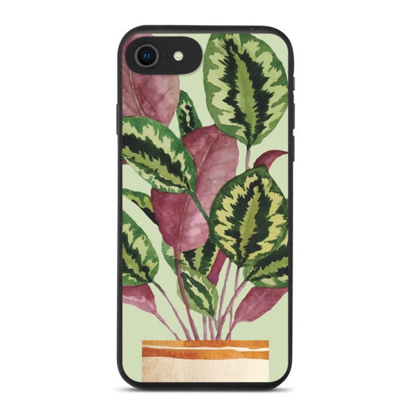 Calathea iPhone Hülle | Pflanze-Liebhaber-Geschenk | Pflanze biologisch abbaubar iPhone Fall | Gebete Pflanze Zubehör | Pflanze Lady Geschenk | Urban Jungle Dekor