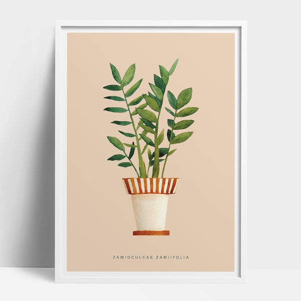 Watercolor ZZ Plant Print, Zamioculcas Zamiifolia Poster, Plant Lover, Botanical Print, House Plant Illustration, ZZ Illustration