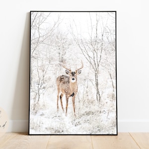 May include: A white-tailed deer stands in a snowy forest, looking directly at the camera. The deer is brown with white spots and has large antlers. The forest is covered in snow and the trees are bare.
