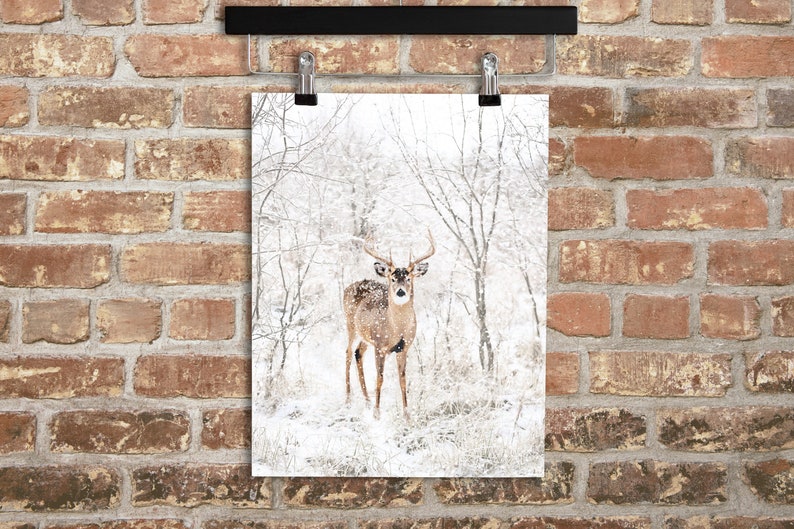 May include: A white-tailed deer stands in a snowy forest. The deer is looking directly at the camera. The forest is covered in snow and the trees are bare.