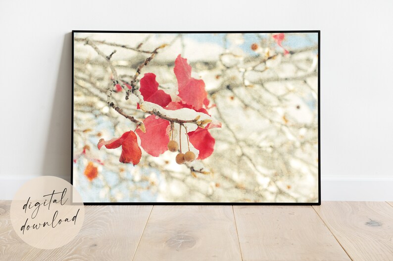 Original Photography Print Leaves in Snow Winter Scene Printable Art Rust Red Landscape Instant Download Christmas Decor Fine Art