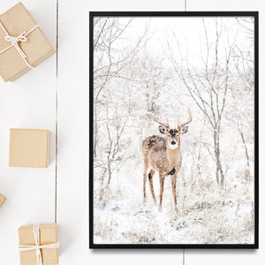 May include: A white-tailed deer stands in a snowy forest, looking directly at the camera. The deer has large antlers and is surrounded by bare trees and snow-covered ground.