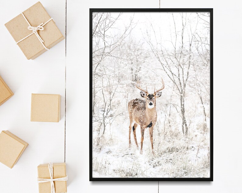 May include: A white-tailed deer stands in a snowy forest, looking directly at the camera. The deer has large antlers and is surrounded by bare trees and snow-covered ground.