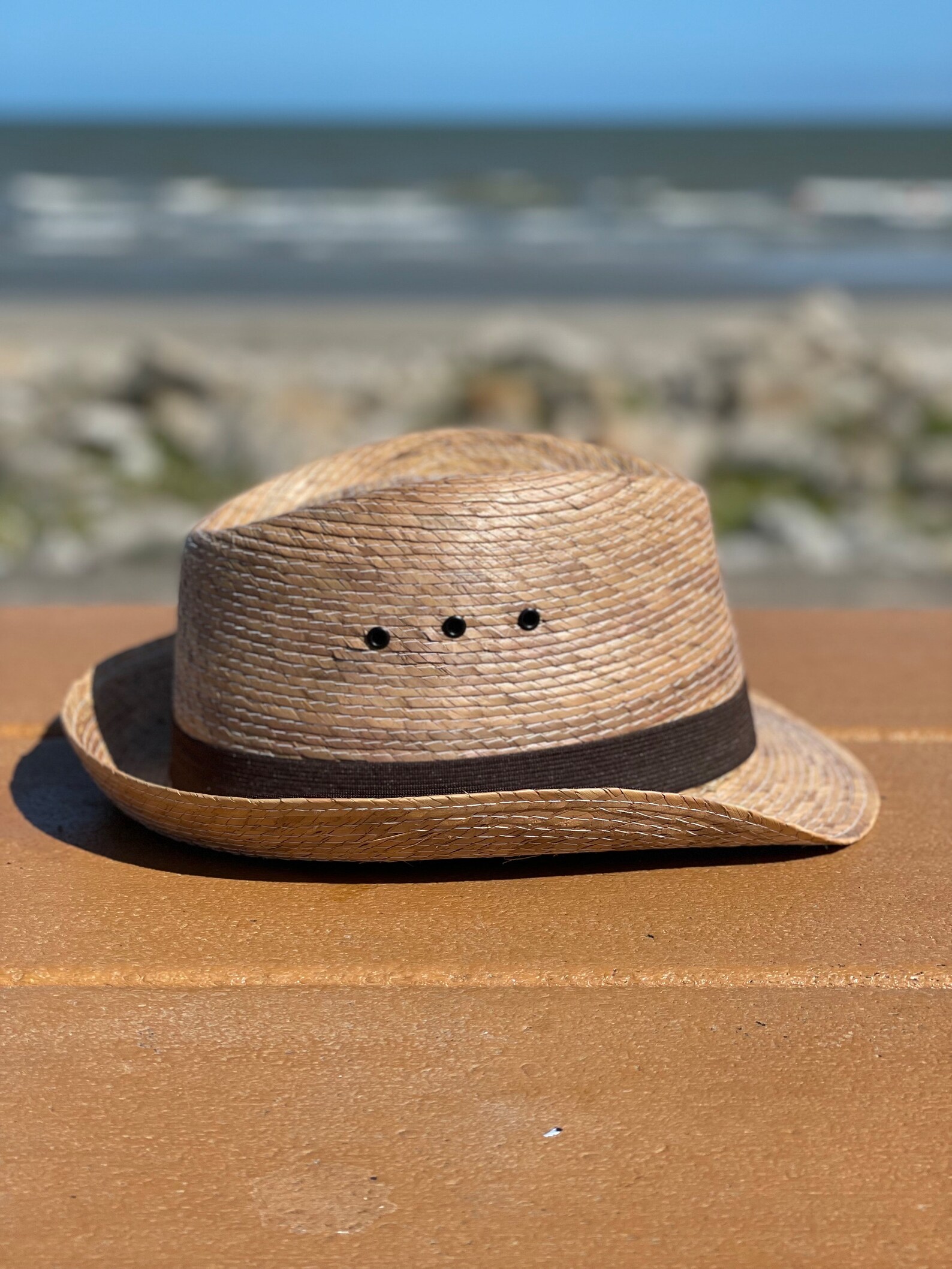 Fedora Straw Hat Palm Hat Sahuayo Palm Hat Fedora Panama Hat Etsy Canada