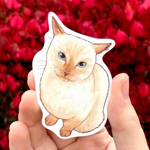 May include: A sticker featuring a cream-colored cat with blue eyes and brown accents. The cat is depicted in a sitting position with a slightly tilted head. The sticker is held in a hand against a backdrop of red foliage.