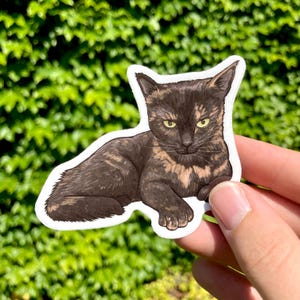 Tortie, Tortoise shell cat, Tortitude, Premium Vinyl Sticker image 9