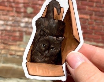 Tortie Cat in a Box, Tortoise Shell Cat, Premium Vinyl Sticker