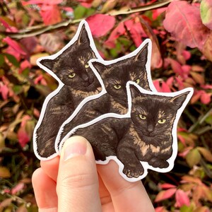 Tortie, Tortoise shell cat, Tortitude, Premium Vinyl Sticker image 7