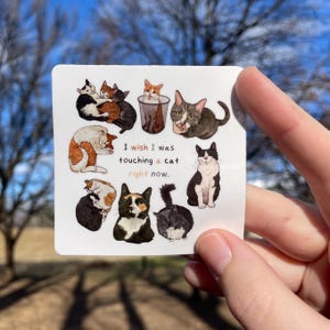 I Wish I Was Touching a Cat Right Now, Katzencollage, Premium Vinyl Aufkleber