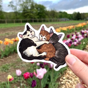 Kitten hug, Three kittens in a pile, Tuxedo, Orange, and Tabby, Premium Vinyl Sticker