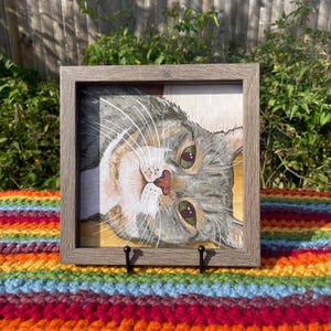Custom Pet Illustration