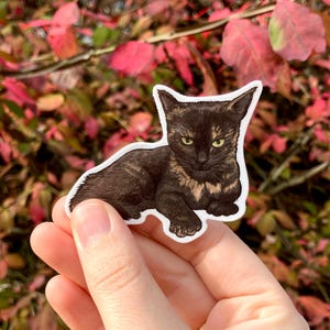 Tortie, Tortoise shell cat, Tortitude, Premium Vinyl Sticker image 5