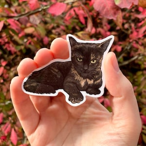 Tortie, Tortoise shell cat, Tortitude, Premium Vinyl Sticker