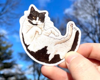 Tuxedo cat with black and white fur, Premium Vinyl Sticker