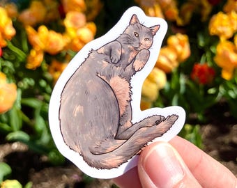 Dilute Tortie, Pale Tortoiseshell cat, Premium Vinyl Sticker