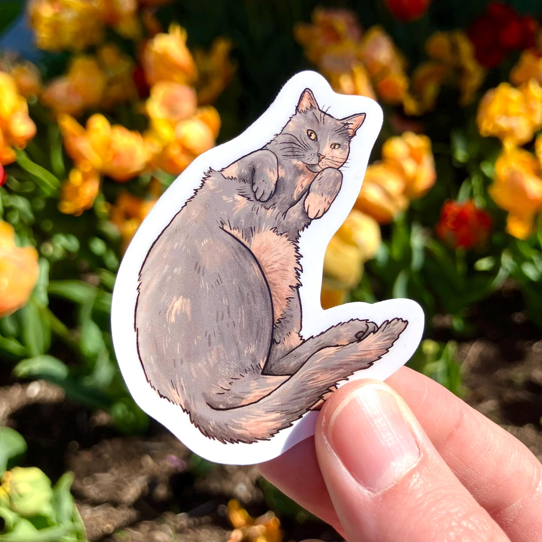 Diluted Calico Cat - Etsy