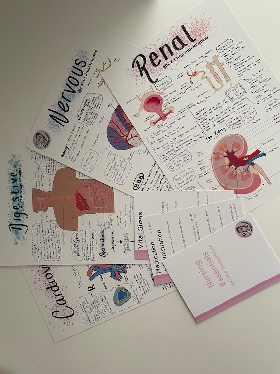 Nursing Student Essentials ubicaciondepersonas.cdmx.gob.mx