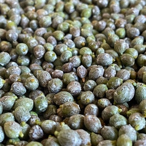 1 lb. Fresh Picked Sierra Nevada Juniper Berries - Picked To Order For Ultimate Freshness **BONUS**