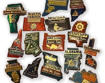 50 Nifty States Vintage Pin