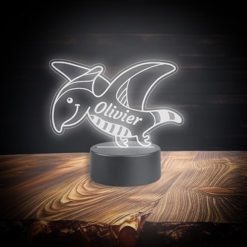 May include: A white 3D printed night light shaped like a cartoon pterodactyl with the name "Olivier" printed on its body. The night light is on a black base and is illuminated.