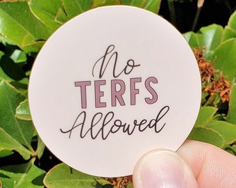 Trans Rights Sticker for Water Bottle, Feminist Sticker for Laptop, Pride Gifts for Friends, Trans Pride Sticker for Computer, Funny Sticker