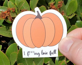 Fall Stickers for Water Bottle, Pumpkin Stickers for Laptop, Fall Gifts for Best Friend, Fall Lover Gift for Women, Cute Fall Stickers