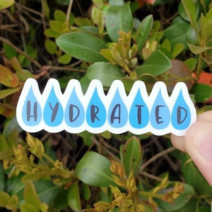 Hydration Sticker for Water Bottle, Self Care Stickers for Laptop, Runner Gifts for Women, Aesthetic Stickers, Self Care Gift for Journalers