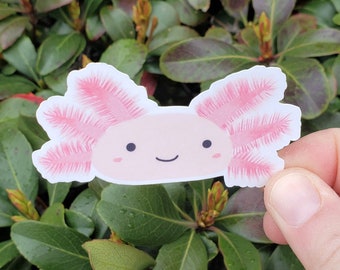 Axolotl Sticker for Water Bottle, Axolotl Gift for Best Friend, Animal Lover Gift for Her, Cute Animal Sticker for Laptop, Aesthetic Sticker