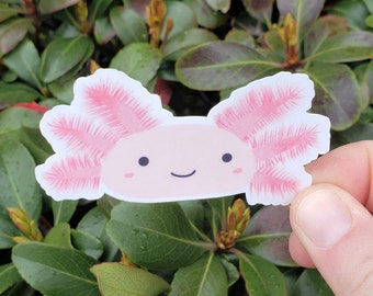 Sticker axolotl pour bouteille d'eau, cadeau axolotl pour meilleure amie, cadeau pour amoureux des animaux pour elle, sticker animal mignon pour ordinateur portable, sticker esthétique