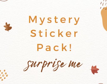 Mystery Sticker Pack, Sticker Grab Bag, Best Friend Christmas Gifts for Her, Stocking Stuffers for Girls, Random Sticker Pack, Cute Stickers