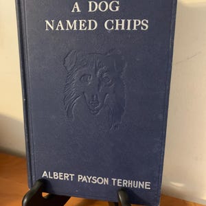 A Dog Named Chips - Albert Payson Terhune - 1931 Hardcover