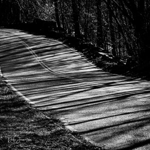 Black & White Landscape Photography Fine Art Print &#39;Road Less Traveled&#39;