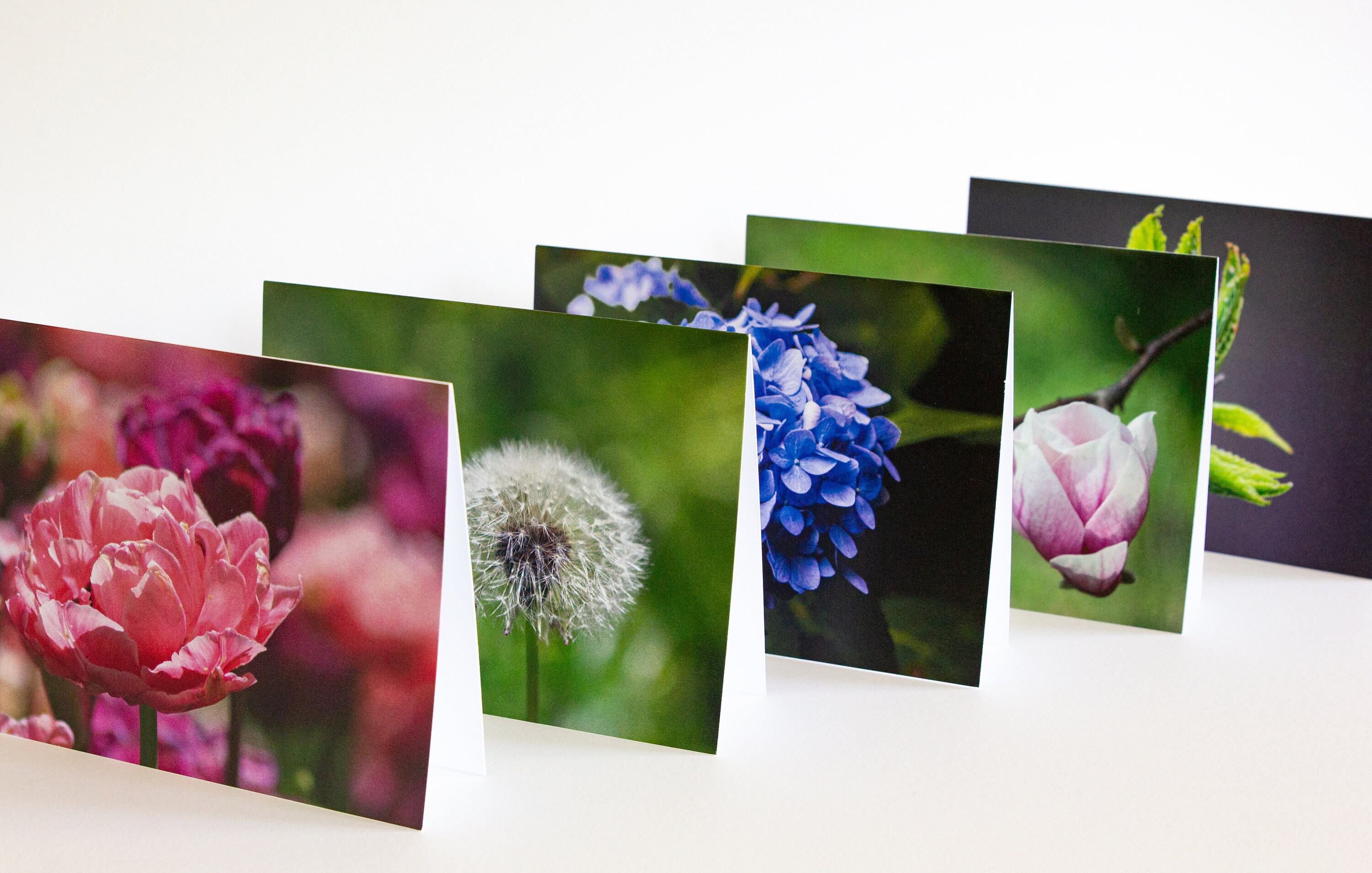 Photo Art Note Cards - "botanical" - 5 Pc Set 5.5" X 4.25" Blank Folded ...