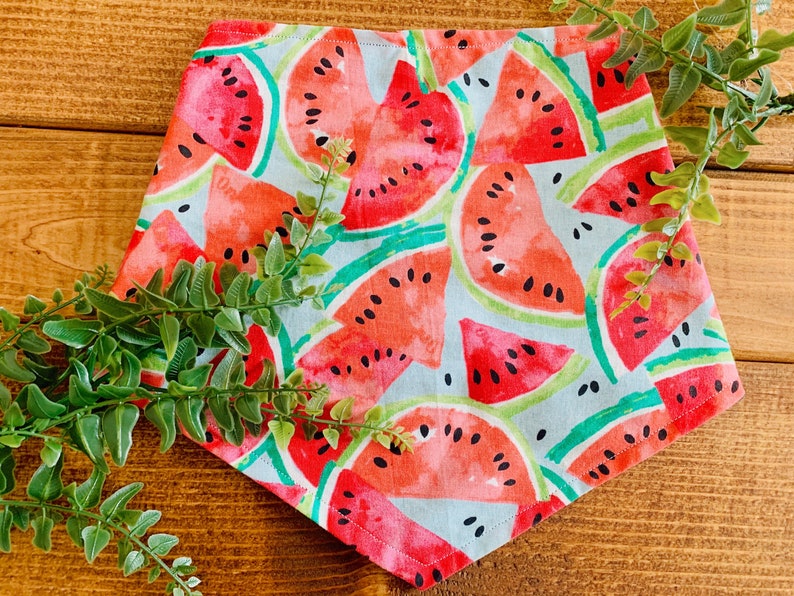 Watermelon Sugar Bandana