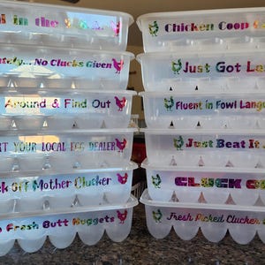Funny Chicken Saying Reusable Egg Carton with Vinyl Lettering